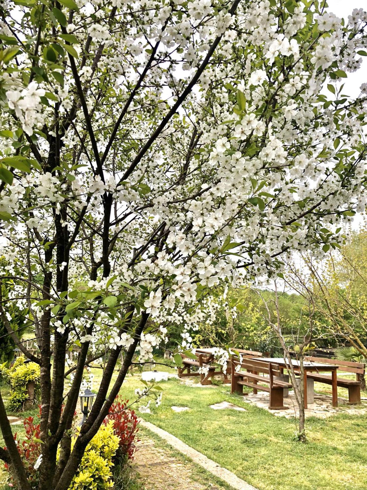 Kerpe Diem Otel ภายนอก รูปภาพ