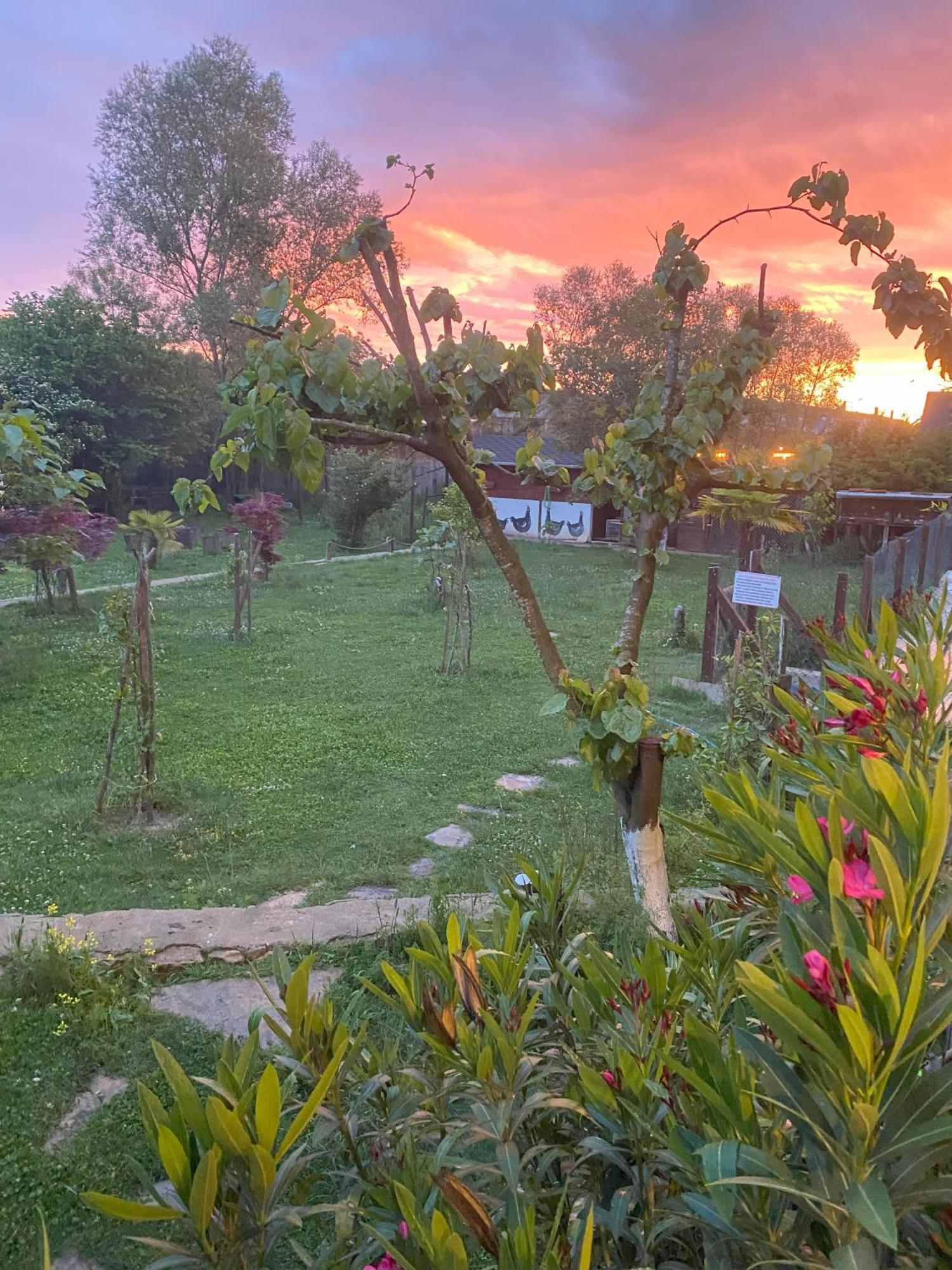 Kerpe Diem Otel ภายนอก รูปภาพ
