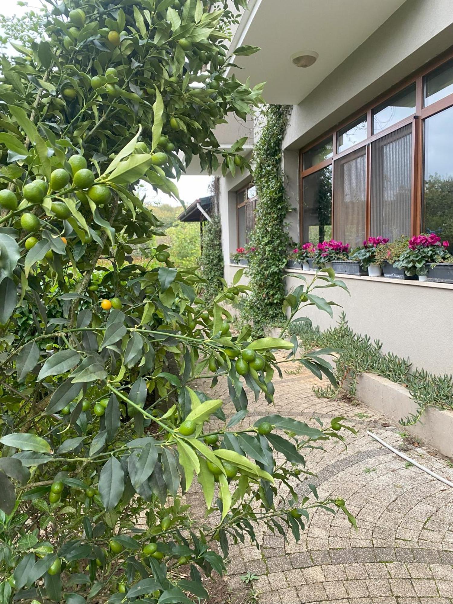 Kerpe Diem Otel ภายนอก รูปภาพ